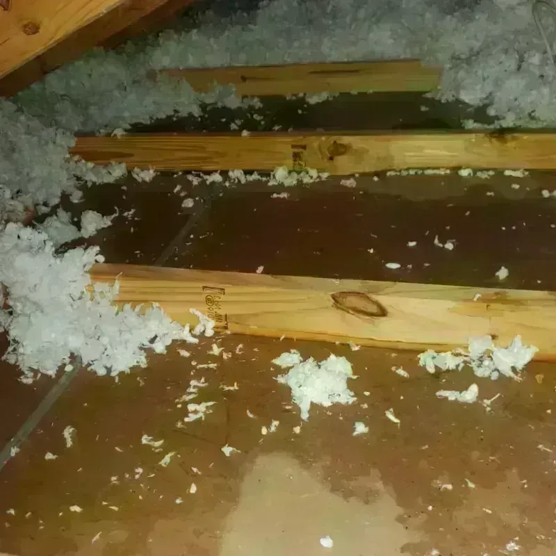 Attic Water Damage in San Lorenzo, CA